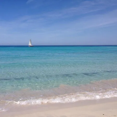 Lägenhet Domaine A Mortella T3